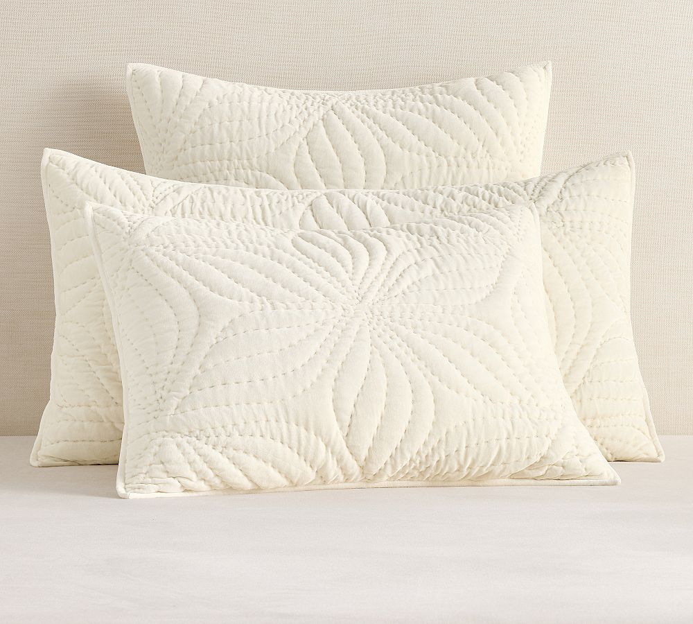 Follette Velvet Quilted Sham by Pottery Barn
