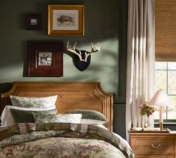 Grain Buffalo Framed Print
