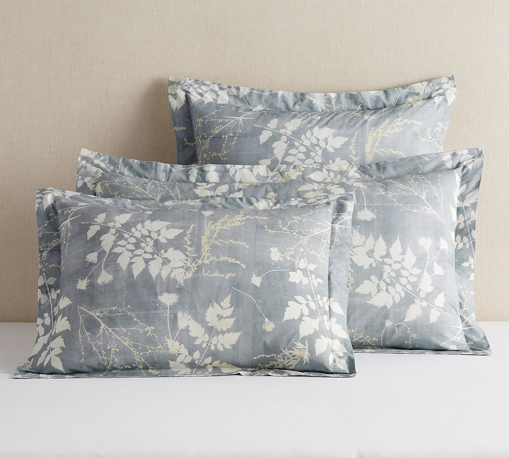 Shadow Floral Percale Sham by Pottery Barn