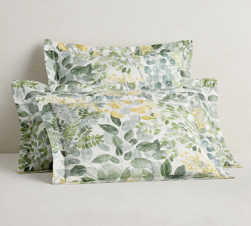 Botanical Garden Organic Percale Sham by Pottery Barn
