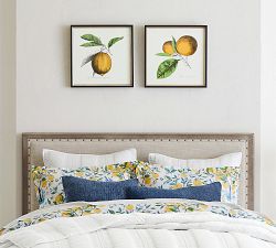 Citrus Print Paper Print