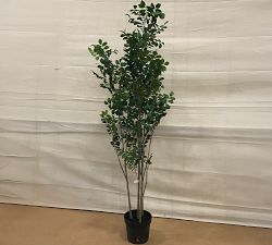 Open Box: Faux Potted Olive Tree (6") - Green, Black