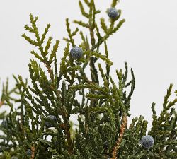 Faux Juniper Clippings Bundle