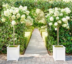 Montauk Planters
