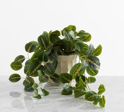 Faux Wandering Prayer Houseplant