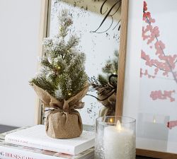 Lit Frosted Faux Pine Trees