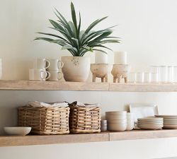 Faux Faded Striped Agave Plant