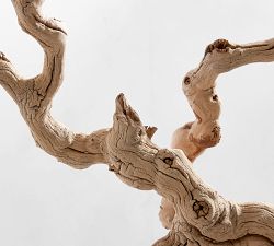 Dried Grapewood Branch