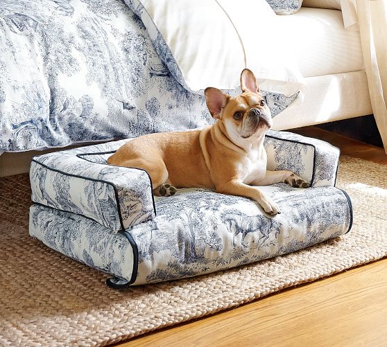 Brandon Maxwell Groveland Toile 3-in-1 Pet Bed | Pottery Barn