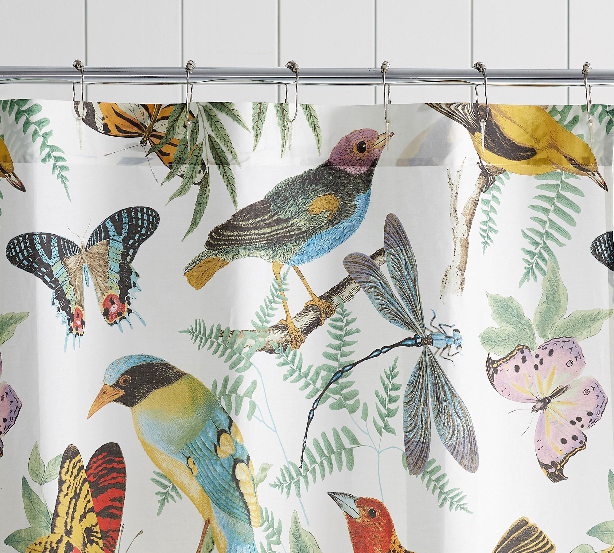 Fauna Bird Cotton Shower Curtain by Pottery Barn