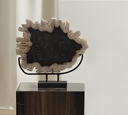 Petrified Wooden Sculpture