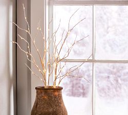 Lit Birch Branches