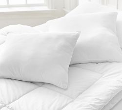 Design Crew Basics Microfiber Pillow Cover