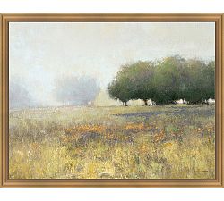 Saturday Fields Framed Canvas