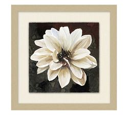 White Flower Prints