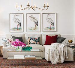Great White Heron