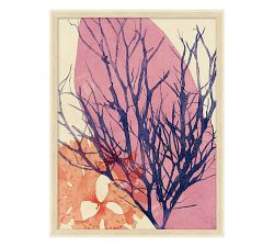 Deep Sea Color