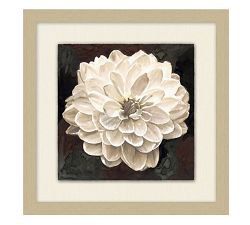 White Flower Prints