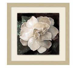 White Flower Prints
