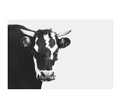 Modern Cow in Black and White by Jennifer Meyers