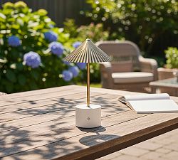 Warren Wood LED Cordless Rechargeable Table Lamp (12")