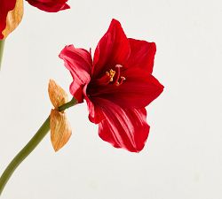 Faux Amaryllis Stem 