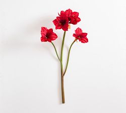 Faux Amaryllis Stem 