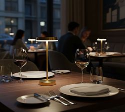 Kim Metal LED Cordless Rechargeable Table Lamp (15")