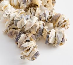 Oyster Shell Rope