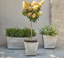 Estate Planters