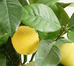 Faux Lemon Bundle