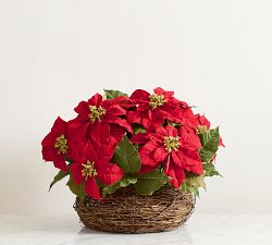 Faux Composed Grapevine Poinsettia