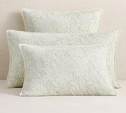 Coral Sham