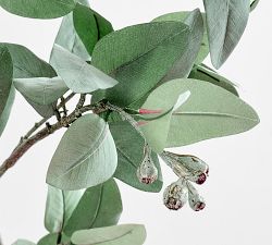 Faux Oversized Faded Eucalyptus Branch