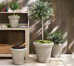 Graystone Cachepot