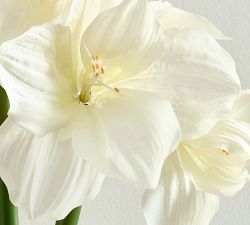 Faux Amaryllis Stem