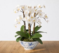 Faux Orchid in Rose Trellis Bowl