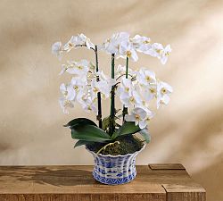 Faux Orchid Phalaenopsis in Pot