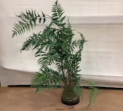 Open Box: Faux Oversized Potted Fern (45") - Green, Clear