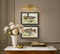 Cottage Ducks Framed Print