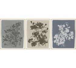 Crocus in Sky, Hellebore in Lake, &amp; Poppy in Linen by Kelly Ventura