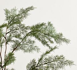 Faux Cedar Branch
