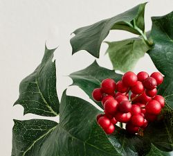 Faux Mini Potted Holly Plant