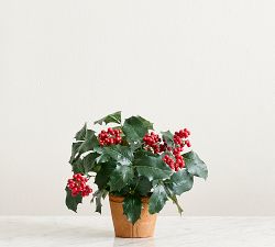 Faux Mini Potted Holly Plant