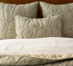 Francesca Paisley Quilted Sham