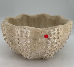 Open Box: Artisan Sea Urchin Bowl, Large (11.75"Diam x 5.75"H) - Natural