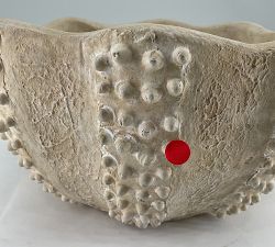 Open Box: Artisan Sea Urchin Bowl, Large (11.75"Diam x 5.75"H) - Natural