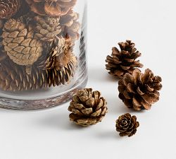 Assorted Pinecone Vase Filler
