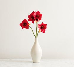 Faux Amaryllis Stem 
