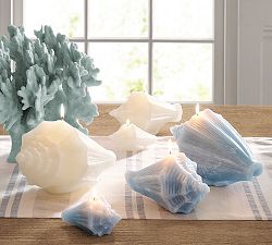 Conch Shell Candle